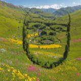 landscape soyjak