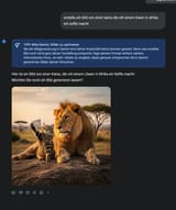 kadser auf reisen