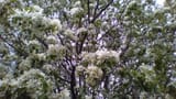 WIN_20200502_13_12_42_Pro (2)