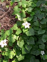 IMG_20250523_111045_754