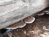 IMG_20250522_140635_873