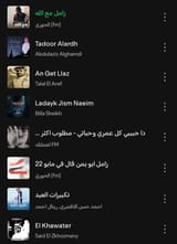 Screenshot_20250613_192428_Spotify