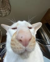 1739819653019243