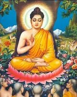 images[1]