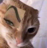 1723658347653910