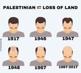 palestine loss of land