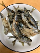 IMG_8759_Original