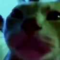1590551278689_thumb.jpg