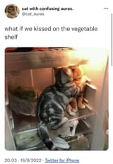 kiss
