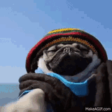 rasta