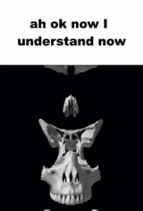 ah-ok-now-i-understand-meme-2283637502