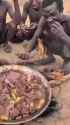 african chimp_thumb.jpg