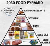 wef pyramid