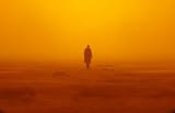 orange filter