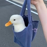 påsmedgås