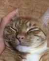 1591952983805_thumb.jpg