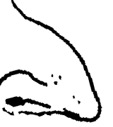 1743668094449019