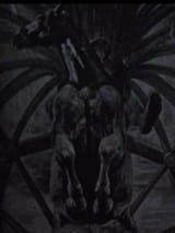 1749841995879