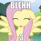 whats-your-favourite-thing-about-fluttershy-v0-pylxfulhttac1