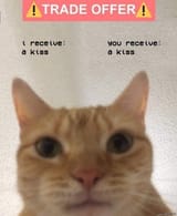 1623871451559