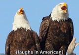 burger_bird_eagle
