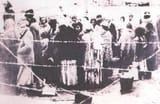 roma_osvetim_camp
