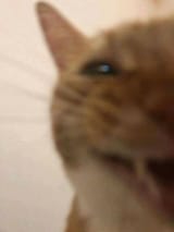 1737244248496608