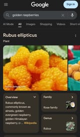 Screenshot_20250613-145500~2
