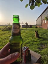 proost