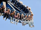 SpinSpider-03-2024