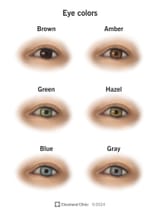 21576-eye-colors
