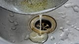 oil