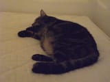 DSCF0343