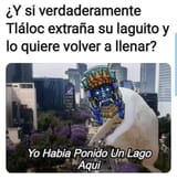 1736092300025389