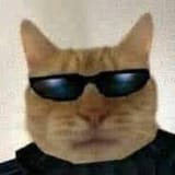 1706527120839957