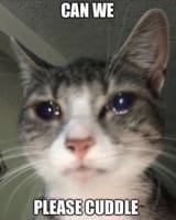1638312159587