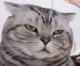 1735374006600089