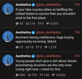 maga zoomer tariffs