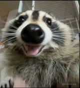 1740286128232004