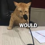 would