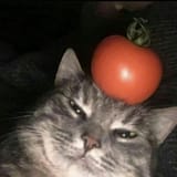 1715267324517706