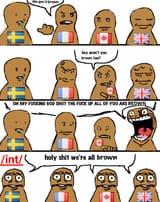 brown int