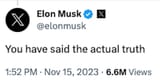 elon musk actual truth
