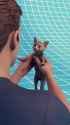 ssstwitter.com_1749892518427 (1)_thumb.jpg