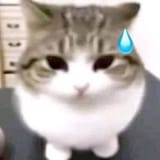 1744391778069306