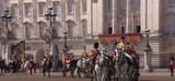 horses