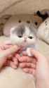 1749899004891_thumb.jpg