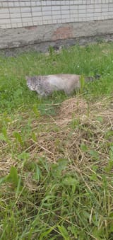 IMG_20250614_143918_1