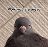 1749848868090073