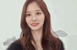 뽀뽀4